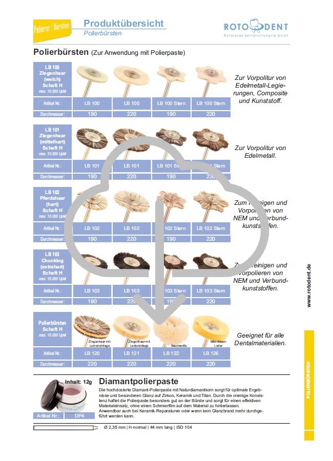 Download Produktübersicht Polierbürsten