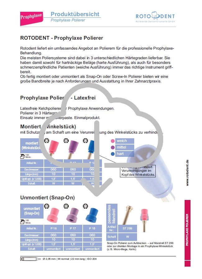 Download Produktübersicht Prophylaxepolierer